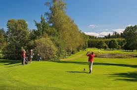 This image for Image Layouts addon